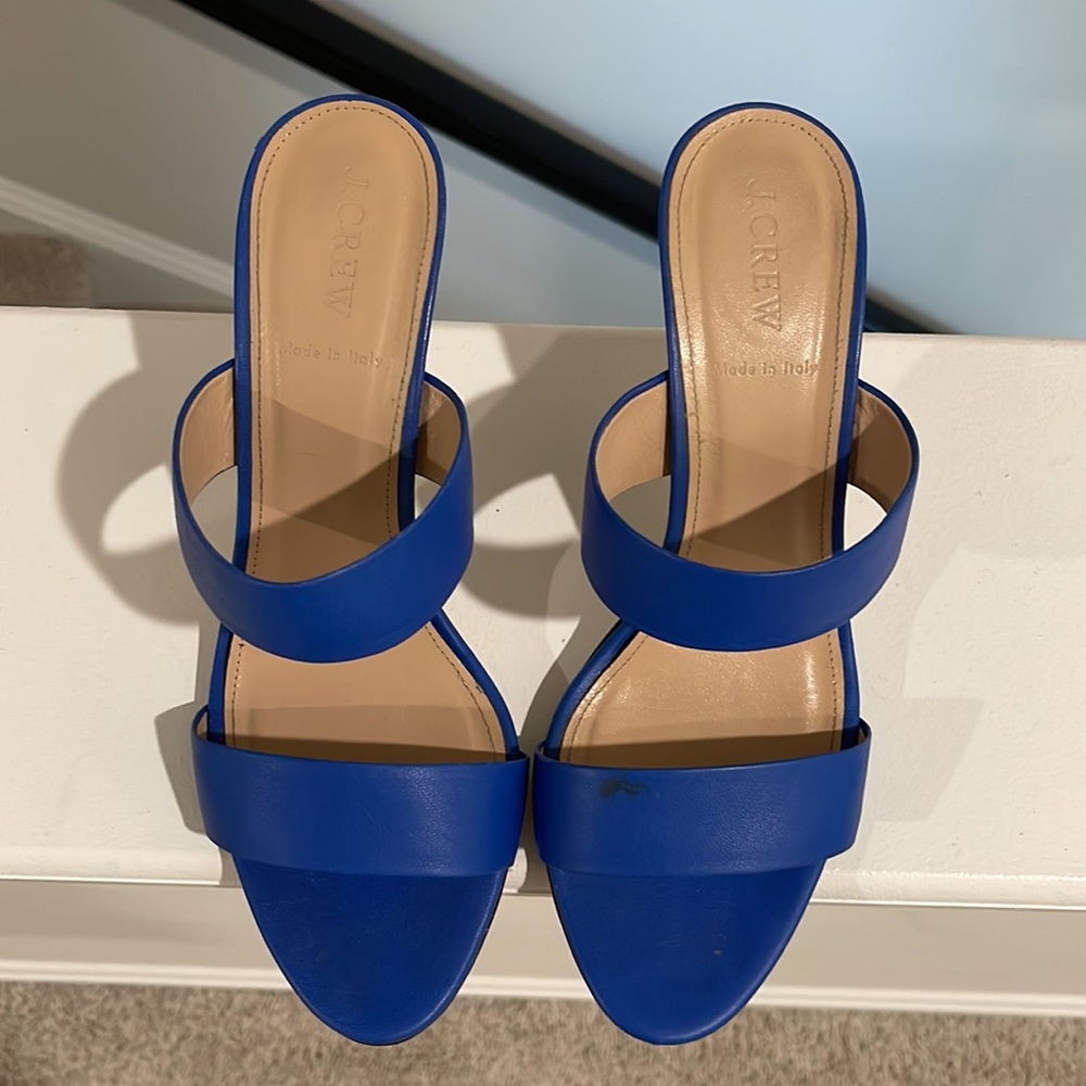 J.Crew 2Strap Boyd Blue Leather Sandals